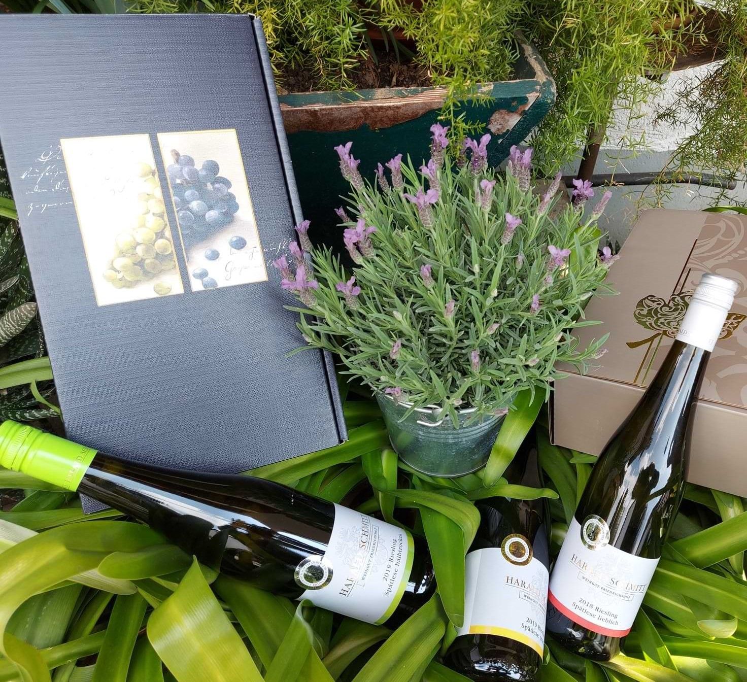 Weinflasche - Weingut & Gästehaus Friedrichshof