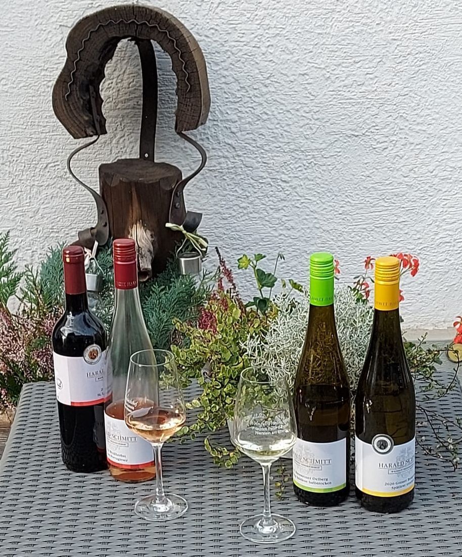 Weingläser - Besuchen Sie unser Weingut!